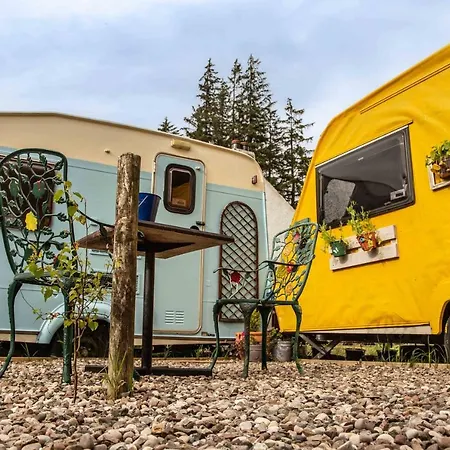 Campsite The Wee Yellow Caravan