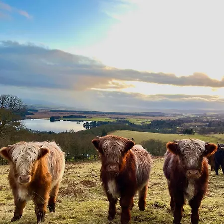 Nether Glenny Farm Farm stay *