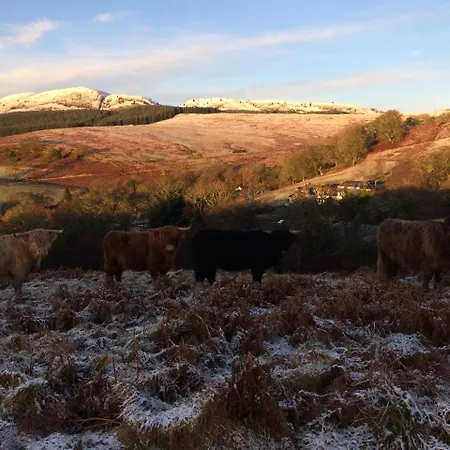 Bed & Breakfast Nether Glenny Cottages 3*